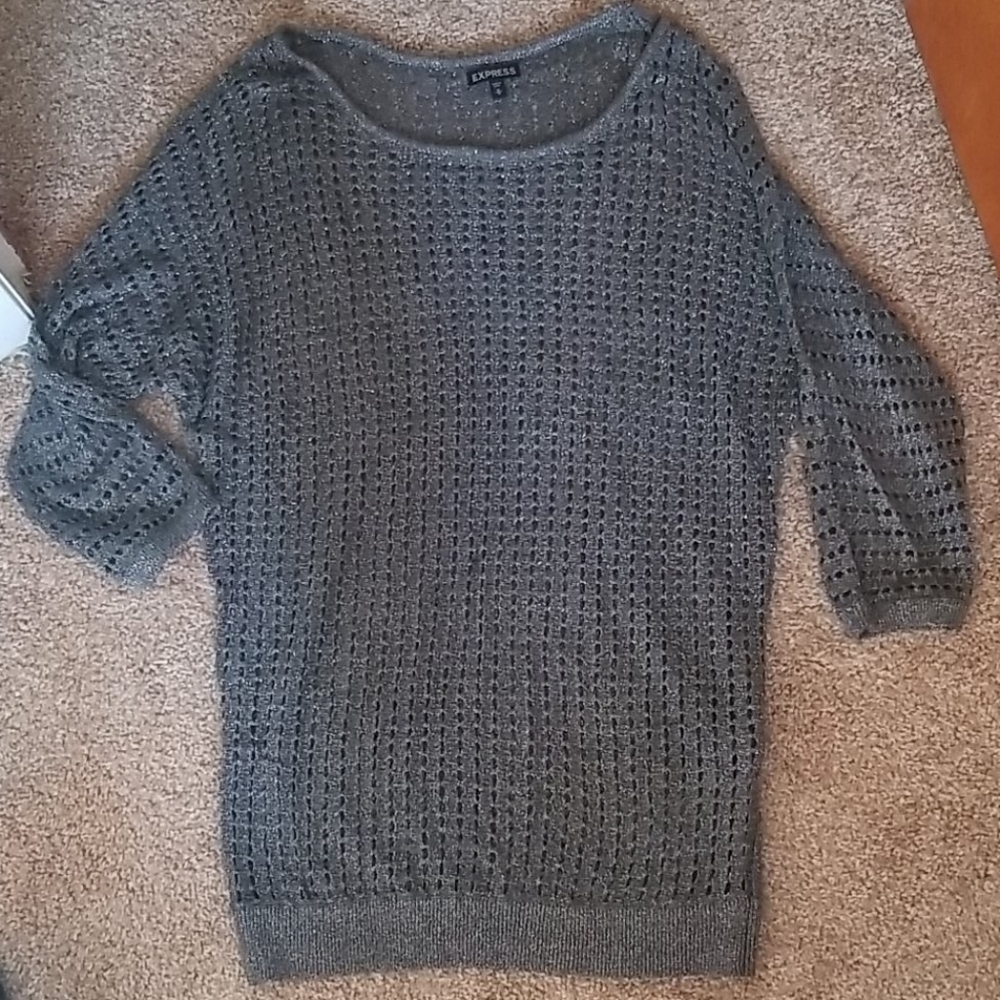 Express Shimmer Sweater